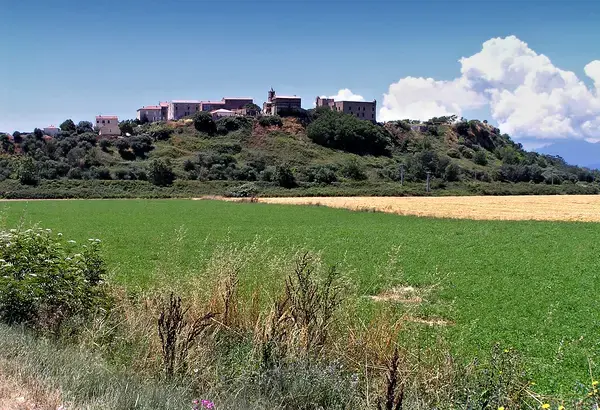 Monte Escalier Conseils Entreprise Monte escalier Aléria