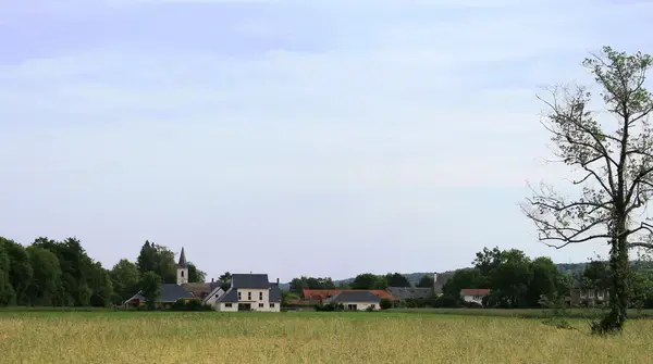 Monte Escalier Conseils Entreprise Monte escalier Allier