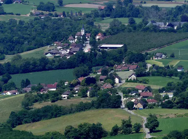 Monte Escalier Conseils Entreprise Monte escalier Belmont-Tramonet