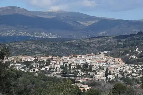 Monte Escalier Conseils Entreprise Monte escalier Biot
