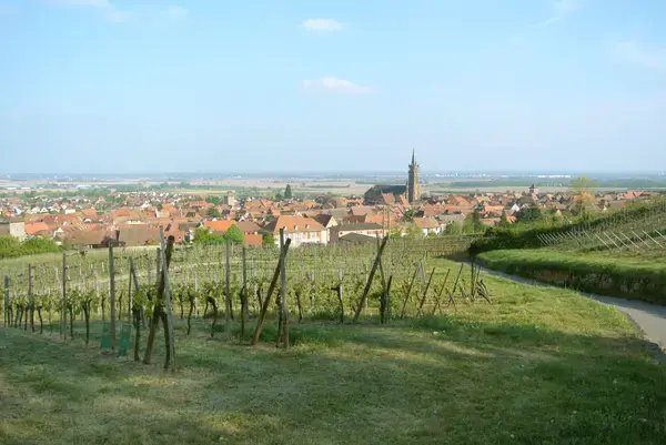 Monte Escalier Conseils Entreprise Monte escalier Dambach-la-Ville