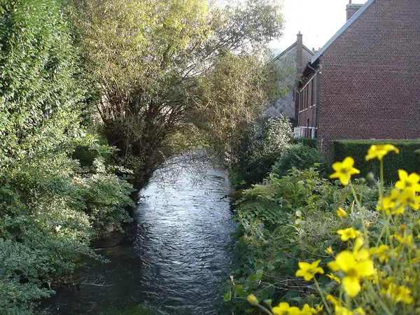 Monte Escalier Conseils Entreprise Monte escalier Déville-lès-Rouen