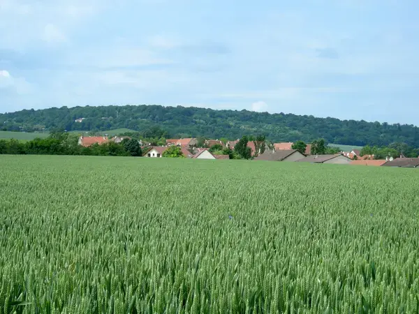 Monte Escalier Conseils Entreprise Monte escalier Fléville-devant-Nancy