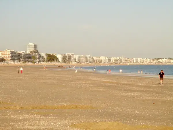 Monte Escalier Conseils Entreprise Monte escalier La Baule-Escoublac