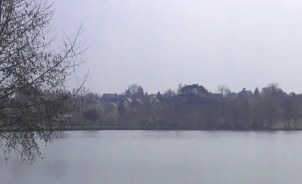 Monte Escalier Conseils Entreprise Monte escalier La Bazoge