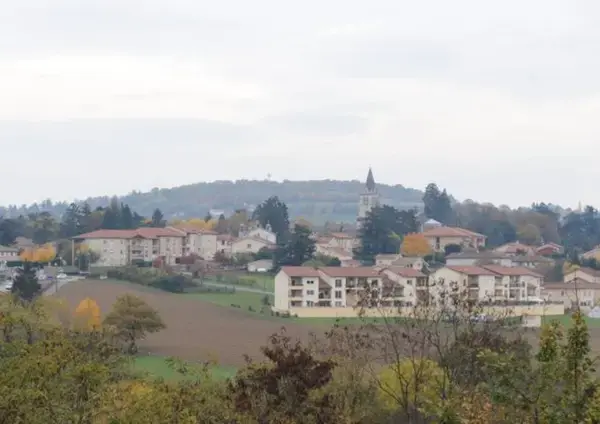 Monte Escalier Conseils Entreprise Monte escalier Lentilly
