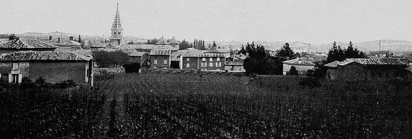 Monte Escalier Conseils Entreprise Monte escalier Limas