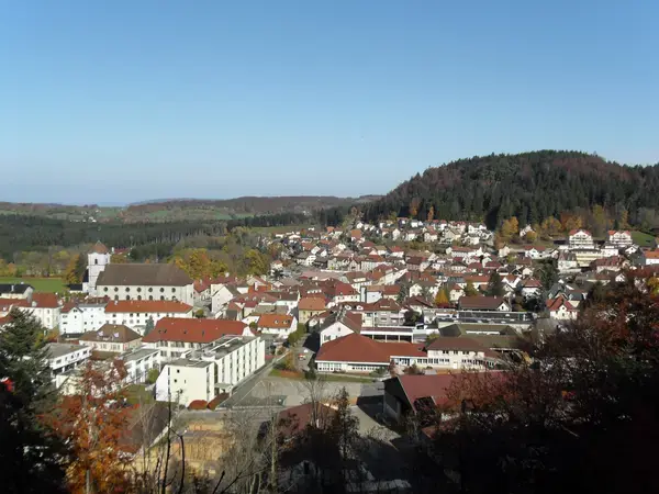Monte Escalier Conseils Entreprise Monte escalier Maîche