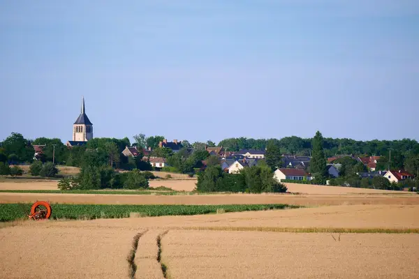 Monte Escalier Conseils Entreprise Monte escalier Mardié