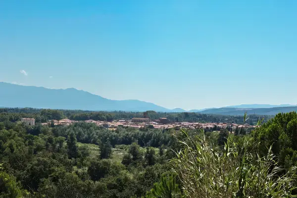 Monte Escalier Conseils Entreprise Monte escalier Millas