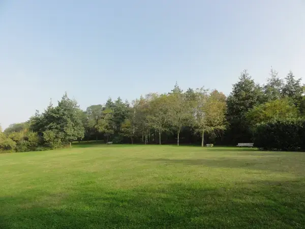 Monte Escalier Conseils Entreprise Monte escalier Montigny-en-Gohelle