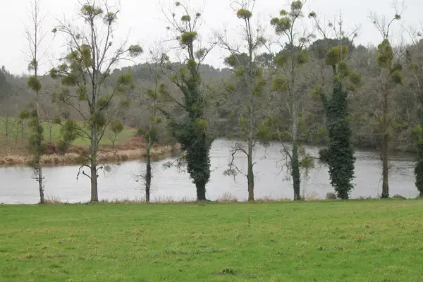Monte Escalier Conseils Entreprise Monte escalier Muzillac