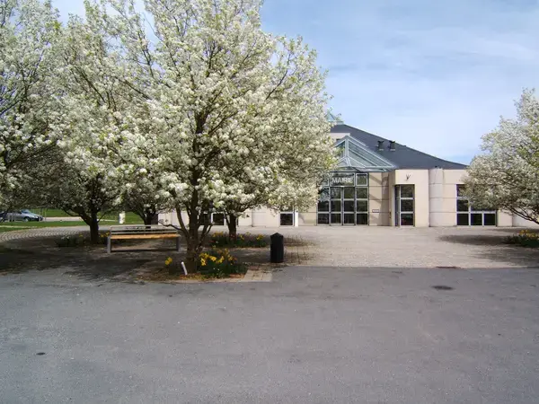 Monte Escalier Conseils Entreprise Monte escalier Olemps