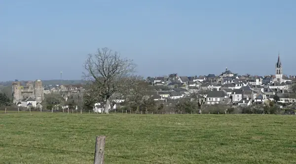 Monte Escalier Conseils Entreprise Monte escalier Ombrée d'Anjou