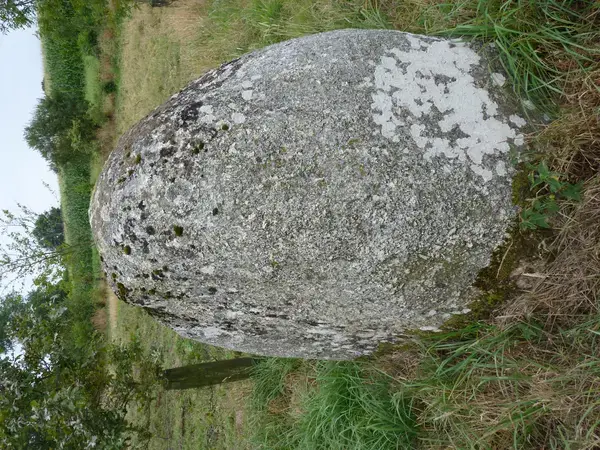 Monte Escalier Conseils Entreprise Monte escalier Plaintel