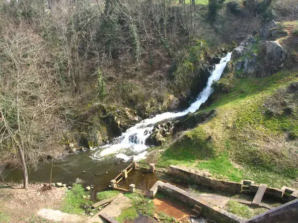Monte Escalier Conseils Entreprise Monte escalier Prémilhat