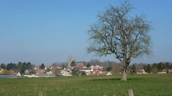 Monte Escalier Conseils Entreprise Monte escalier Presles-en-Brie