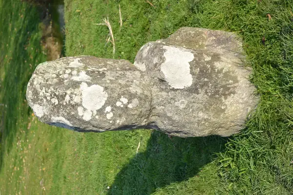 Monte Escalier Conseils Entreprise Monte escalier Prinquiau