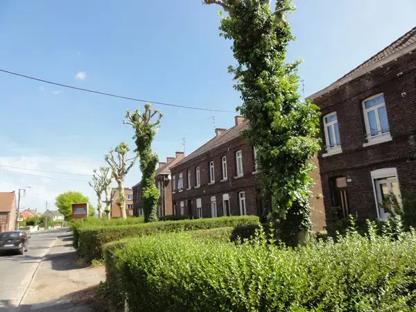 Monte Escalier Conseils Entreprise Monte escalier Quiévrechain