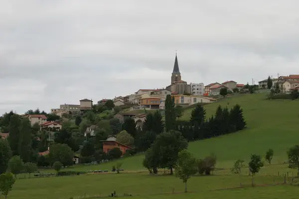 Monte Escalier Conseils Entreprise Monte escalier Saint-Christo-en-Jarez