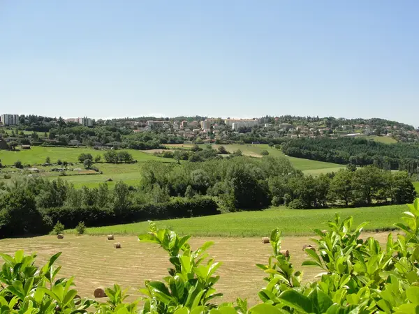 Monte Escalier Conseils Entreprise Monte escalier Saint-Genest-Lerpt