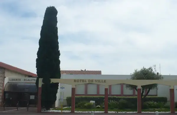 Monte Escalier Conseils Entreprise Monte escalier Saleilles