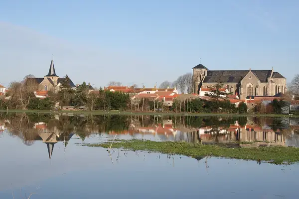 Monte Escalier Conseils Entreprise Monte escalier Sallertaine