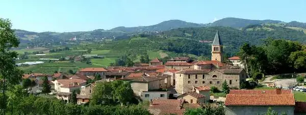 Monte Escalier Conseils Entreprise Monte escalier Thurins