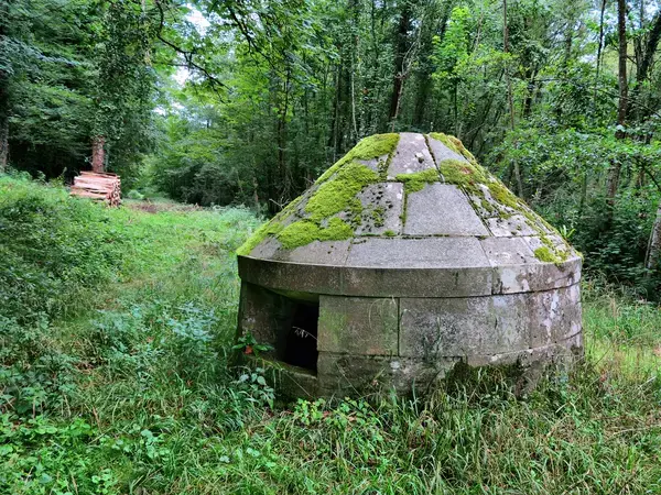 Monte Escalier Conseils Entreprise Monte escalier Valleroy