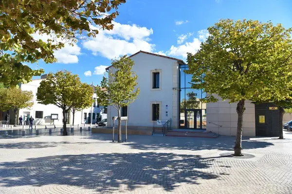 Monte Escalier Conseils Entreprise Monte escalier Vic-la-Gardiole