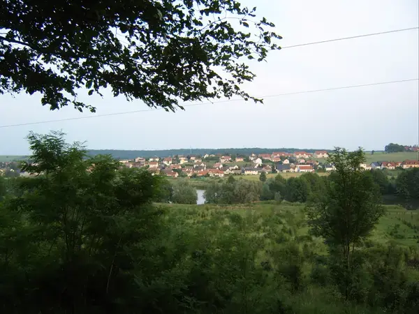 Monte Escalier Conseils Entreprise Monte escalier Woustviller
